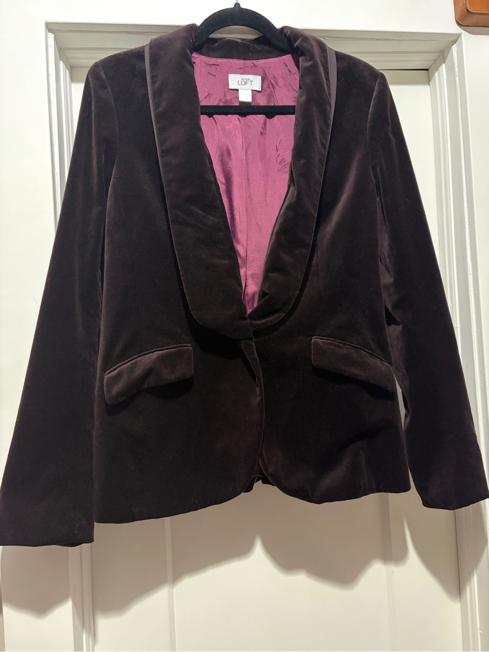 LOFT Burgundy Velvet Blazer with Mauve-Pink Lining